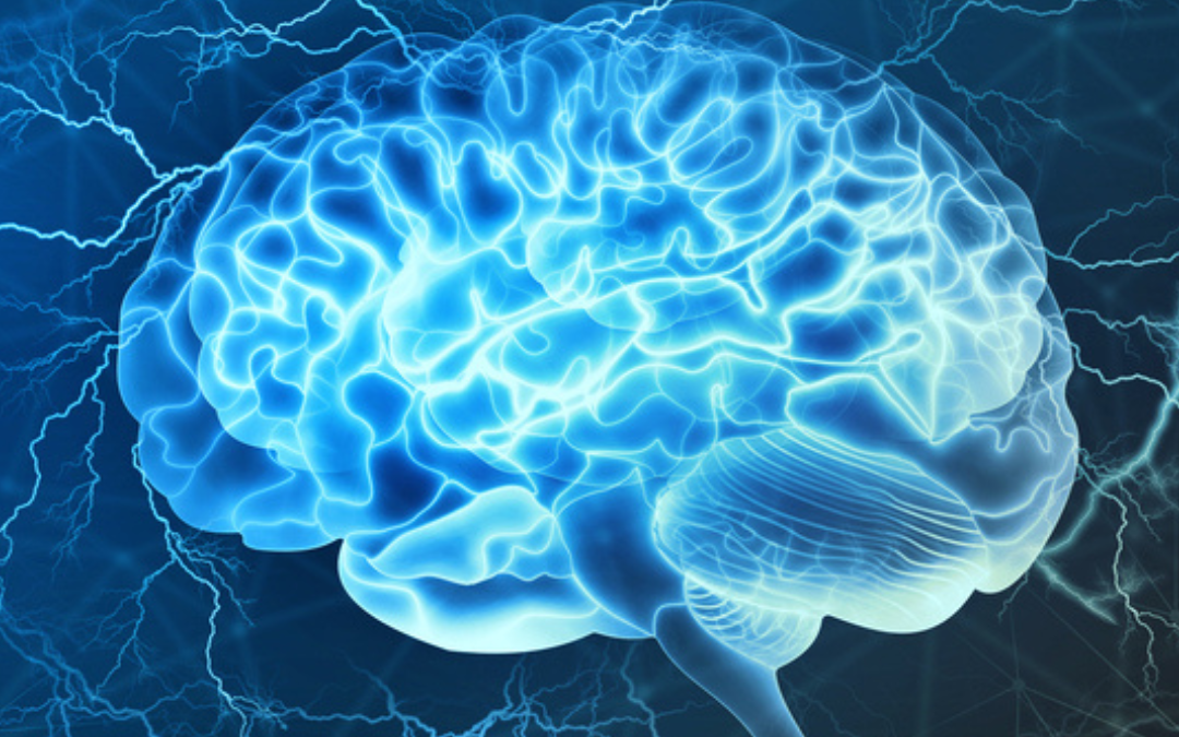 Illustration of a human brain, representing post-concussion healing and neurological recovery.